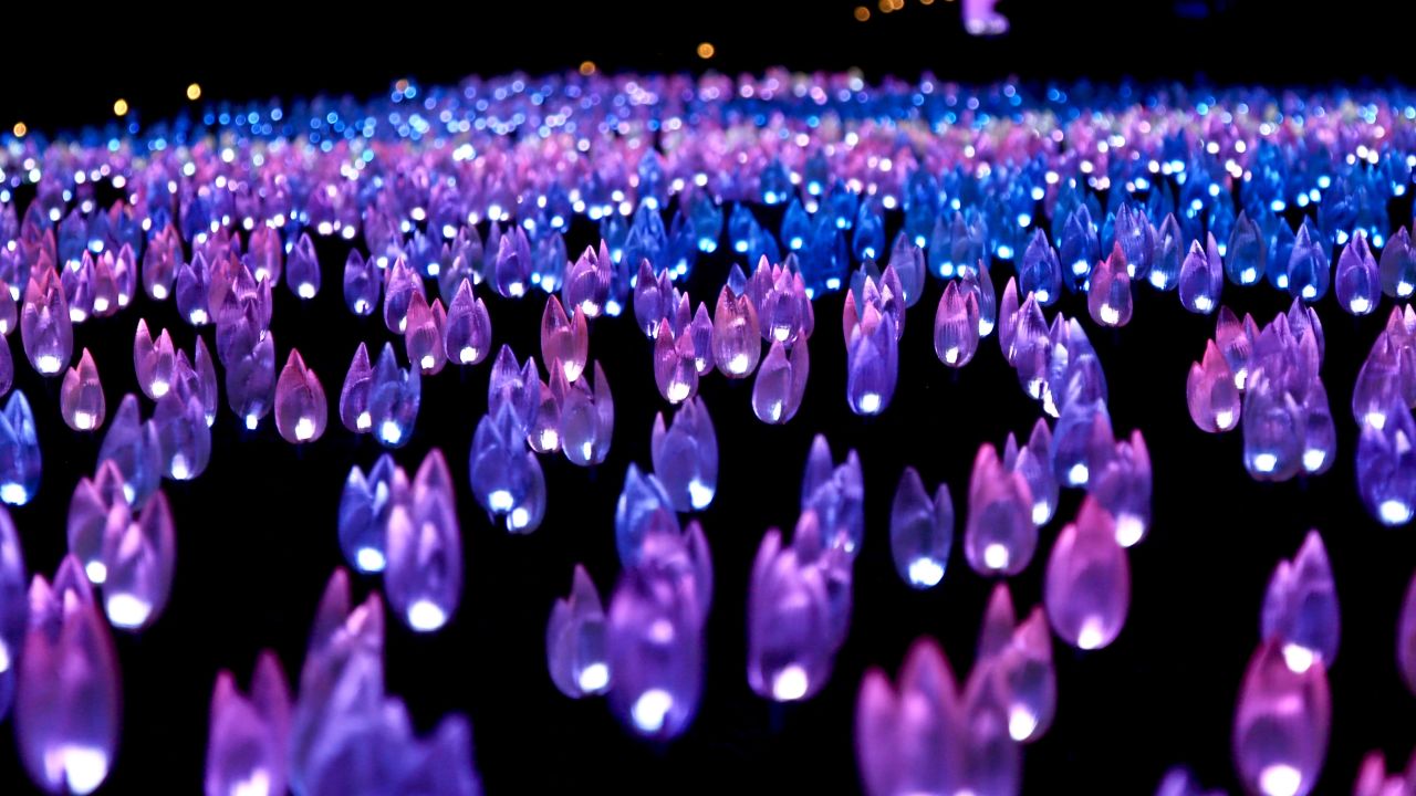 Fireflies, fields of tulips and starlight gardens are a feast for the imagination at Descanso Gardens' Enchanted: Forest of Light.