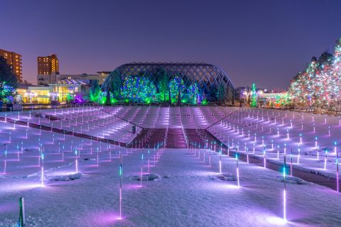 <strong>Denver Botanic Gardens (Colorado):</strong> A touch screen lets visitors change the patterns of light at the Denver Botanic Gardens' field of LED lights.