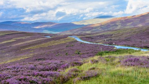 Cairngorms: Britain at its wildest and most beautiful.