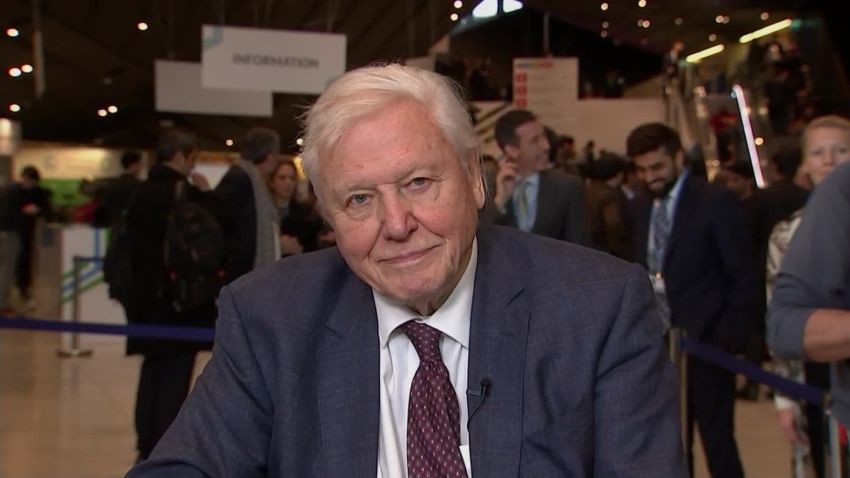 David Attenborough Amanpour COP24 Climate Change_00000000.jpg