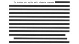 01 flynn document redacted