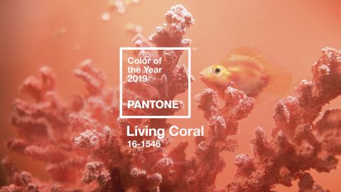 Pantone color of year 01