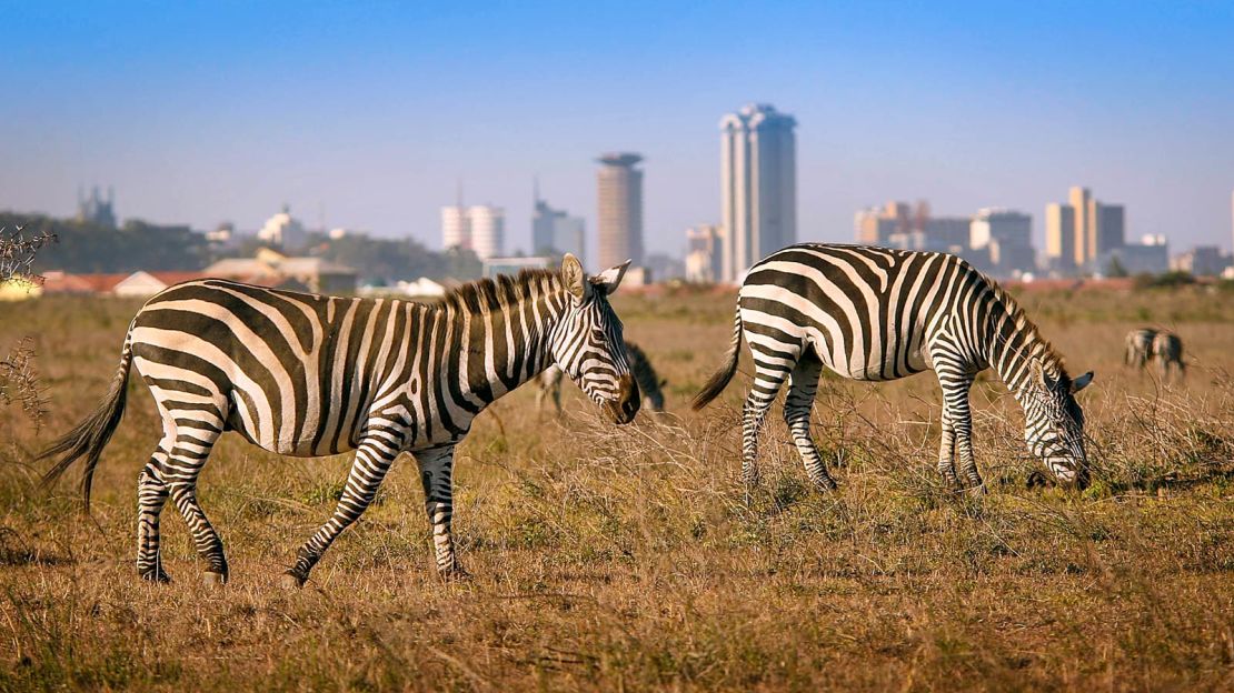 Nairobi has a safari park on its doorstep.