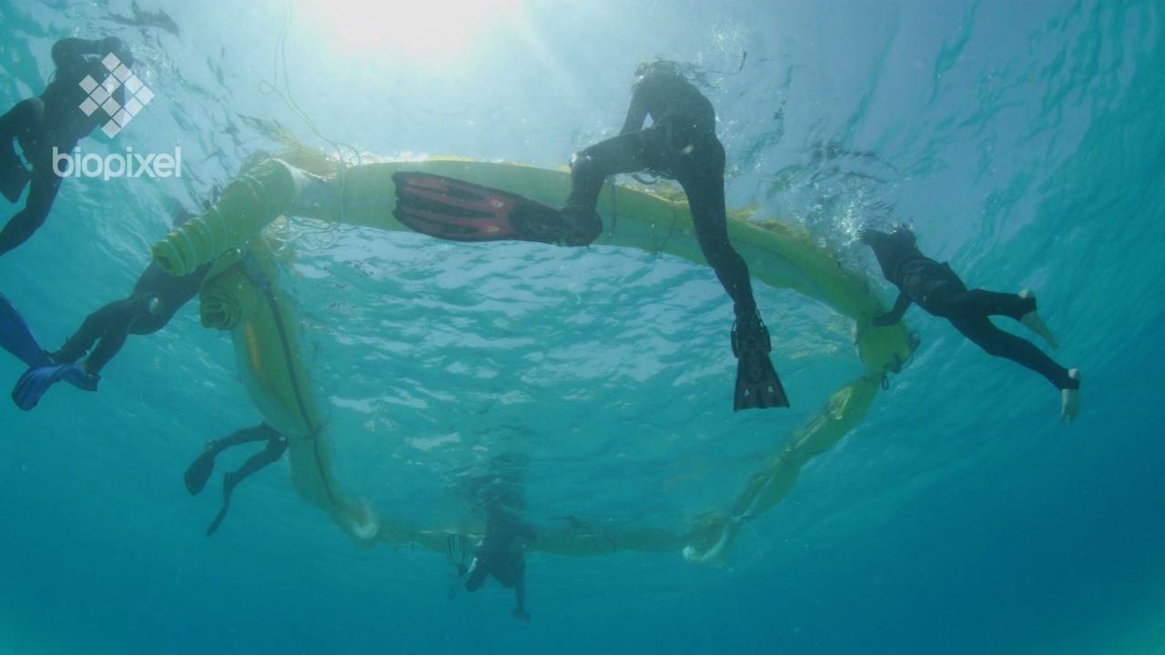 Ivan Watson reports on a coral IVF project to save the Great Barrier Reef. Footage and PKG are OK for INS distribution