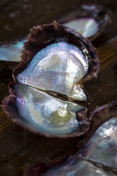 This causes the oysters to secrete an iridescent substance called nacre (commonly known as mother-of-pearl).