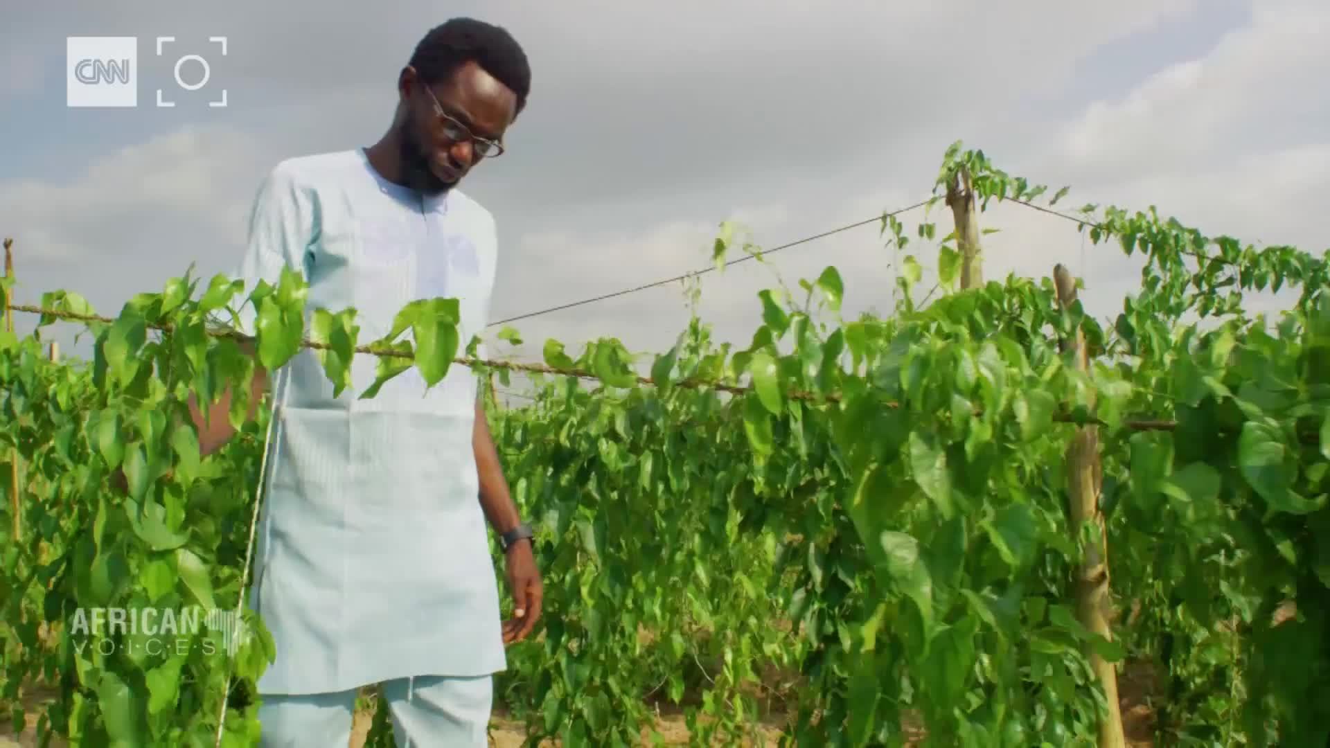 https://media.cnn.com/api/v1/images/stellar/prod/181206130920-african-voices-samson-ogbole-nigeria-soilless-farming-vision-00004720.jpg?q=w_1920%2Ch_1080%2Cx_0%2Cy_0%2Cc_fill