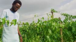 African Voices Samson Ogbole Nigeria soilless farming vision _00004720.jpg