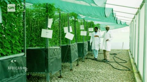 Samson Ogbole on his farm.
