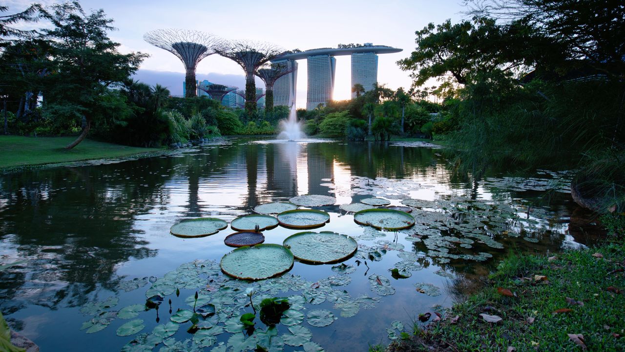 <strong>Tropical: </strong>Singapore's climate helps make a range of outdoor attractions popular.