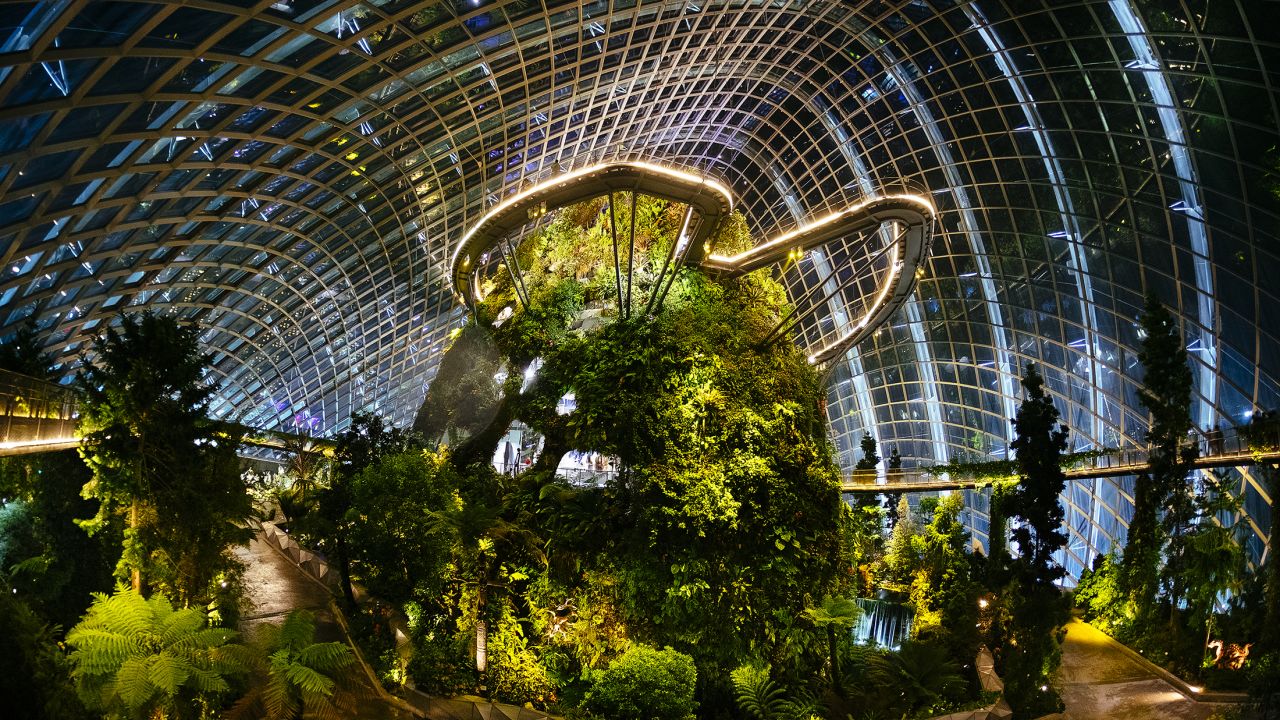 <strong>Plant city: </strong>Gardens by the Bay contains more than 1.5 million plants in total.