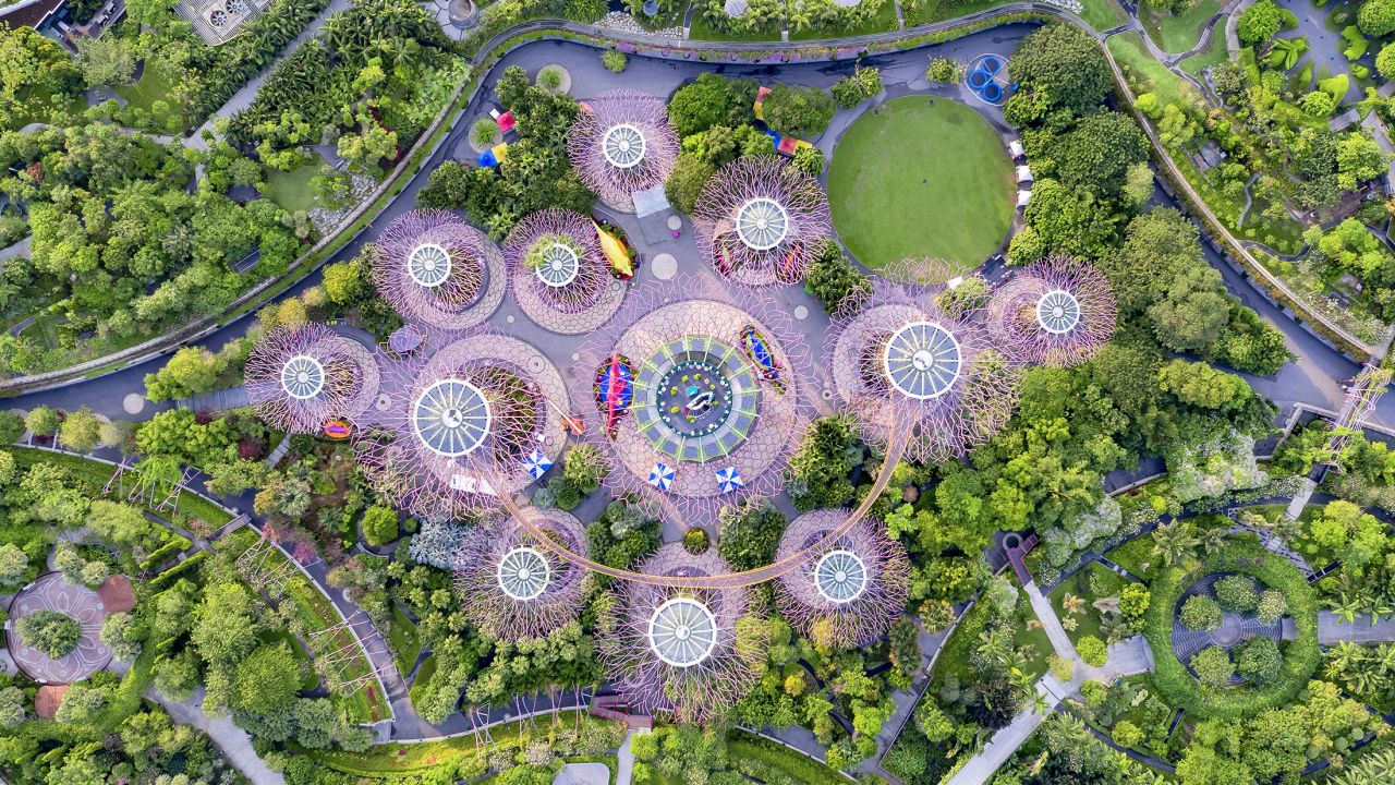 <strong>Supertree Grove: </strong>The tree's large canopies provide shade in the day and a light display at night.