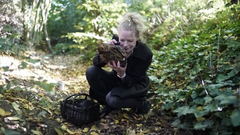 Mycologist Sara Landvik forages in Hampstead Heath, London, looking for new species of fungi that could one day have industrial applications.