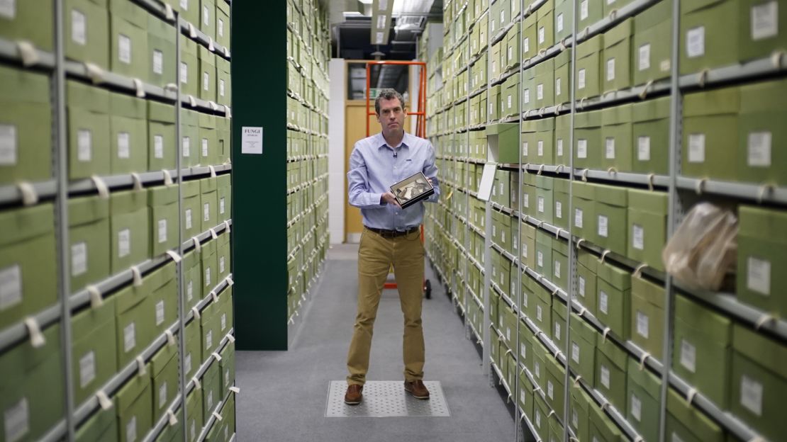 Tom Prescott in the fungarium at Royal Botanic Gardens Kew, which holds approximately 1.25 million specimens of fungi. 