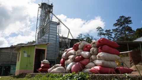Coffee producers are major employers in the region, and also have struggled.