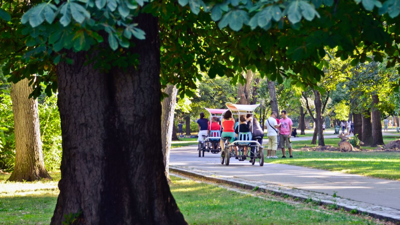 Visitors can rent a bike, bringo carts or golf buggy to experience Margaret Island on wheels.