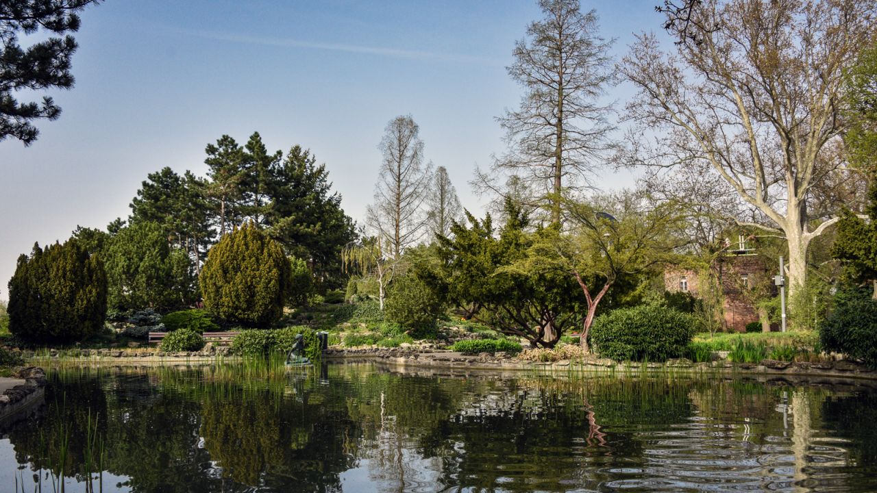 Japanese Gardens -- a beautiful, tranquil spot.