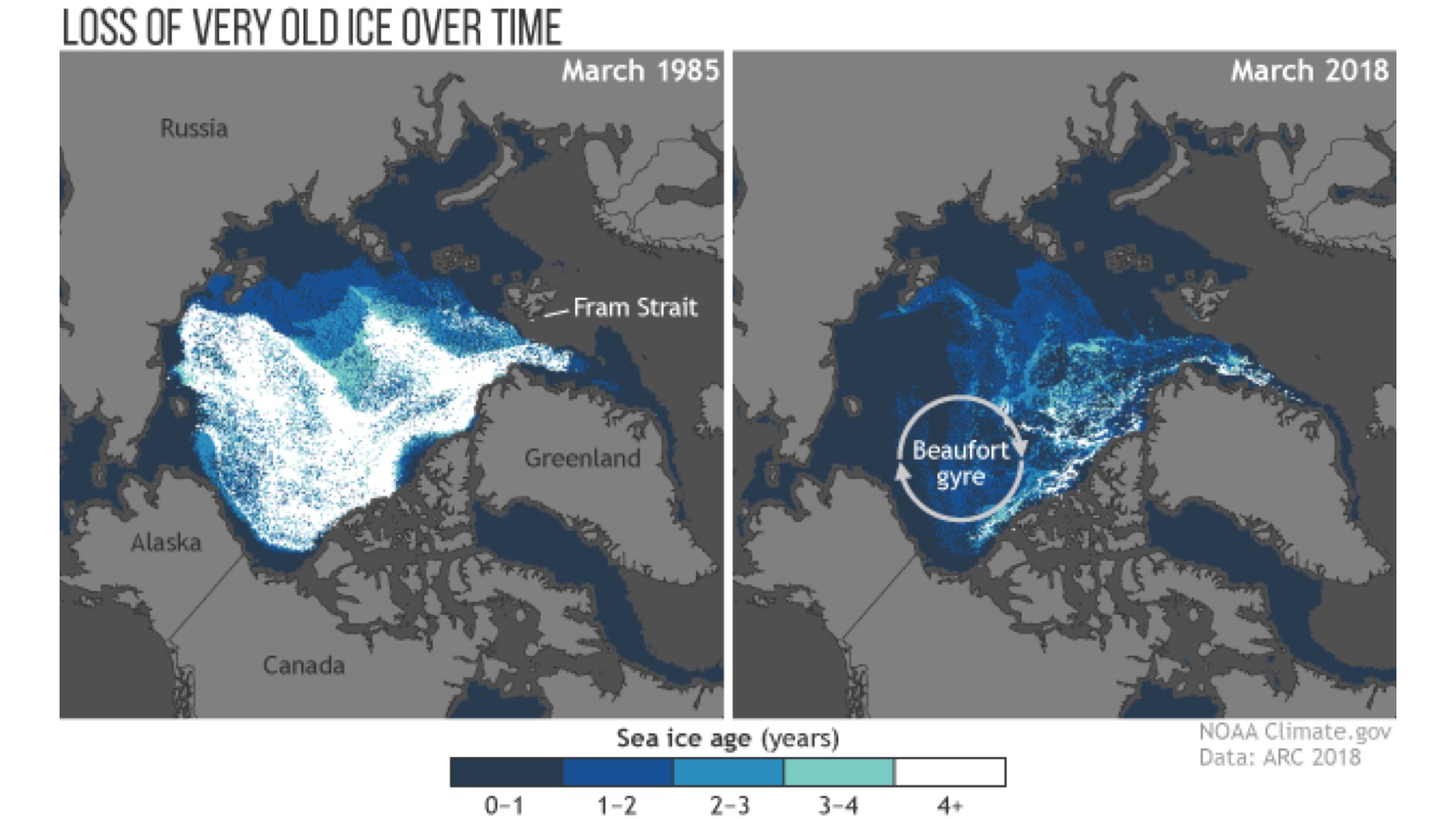 Almost All of the Arctic's Oldest Ice Is Already Gone