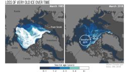 The loss of old sea ice is easy to see when you compare it to the amount of old ice -- ice that lasts through four or more melt seasons -- seen in 1985 (left) to 2018 (right). 