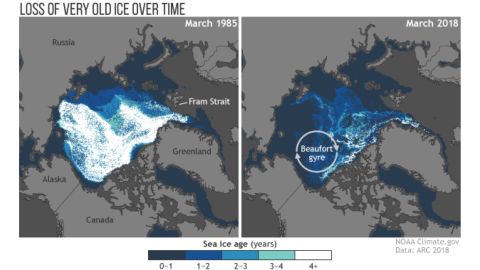 Old ice -- ice that lasts through four or more melt seasons -- seen in 1985, left, and 2018, right.