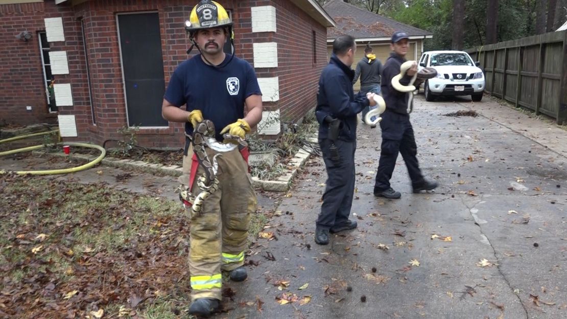 firefighters rescue snakes 02