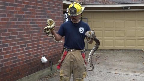 A firefighter in suburban Houston carries two snakes from a burning home.