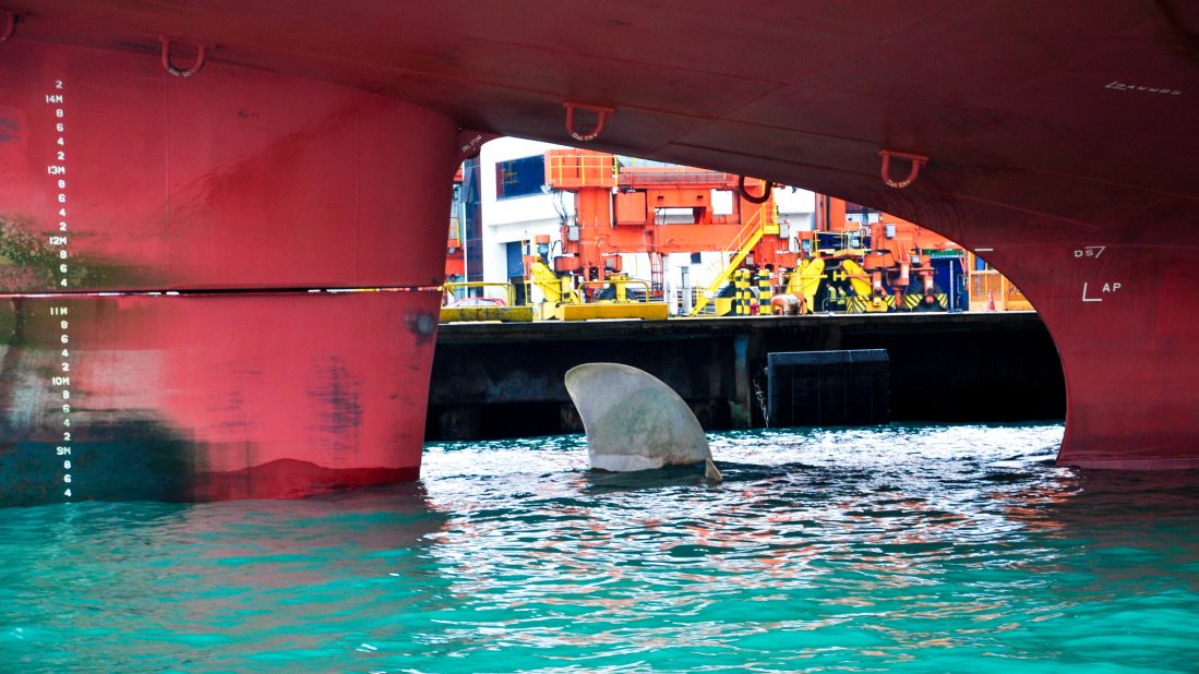 <strong>Ready for loading: </strong>On a ship yet to be laden down with containers, a propeller blade peeks above the surface in Hong Kong's container port.  