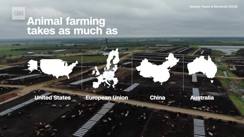 impact of food on the planet ejk lon orig_00005901.jpg