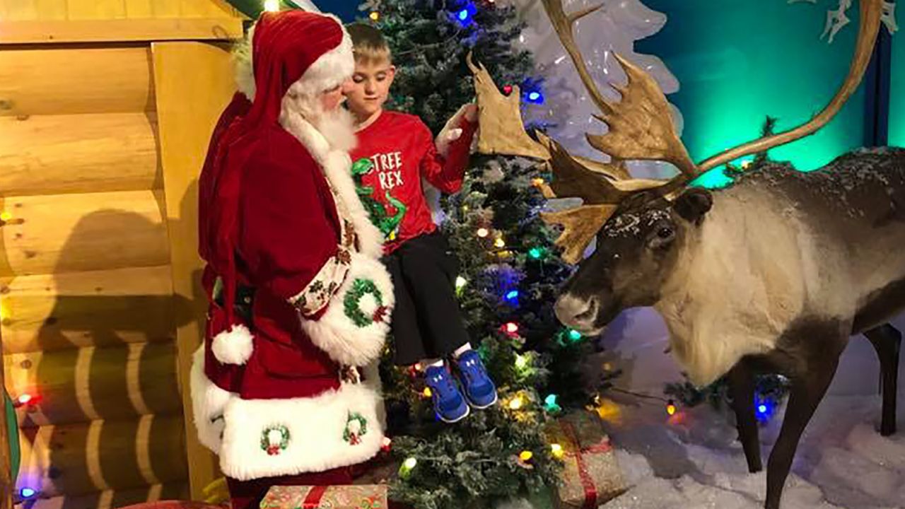 Santa Claus carried Matthew Wolf to touch a one of the animal figures in his Christmas display.