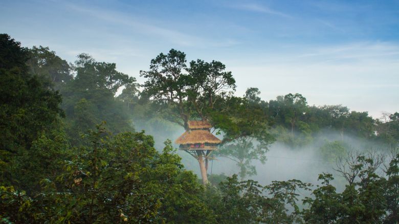 Laos Gibbon Experience treehouse
