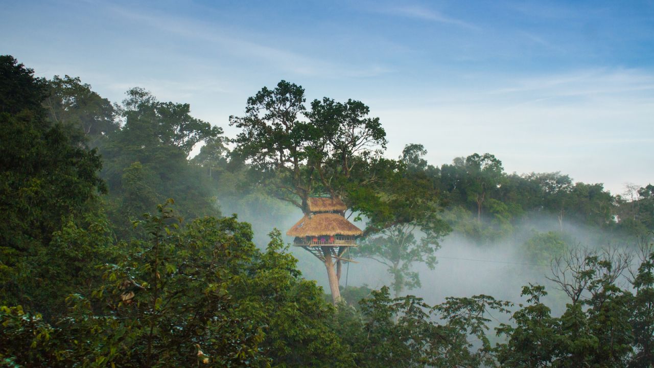 The Gibbon Experience treehouses are 30-40 meters above ground. 