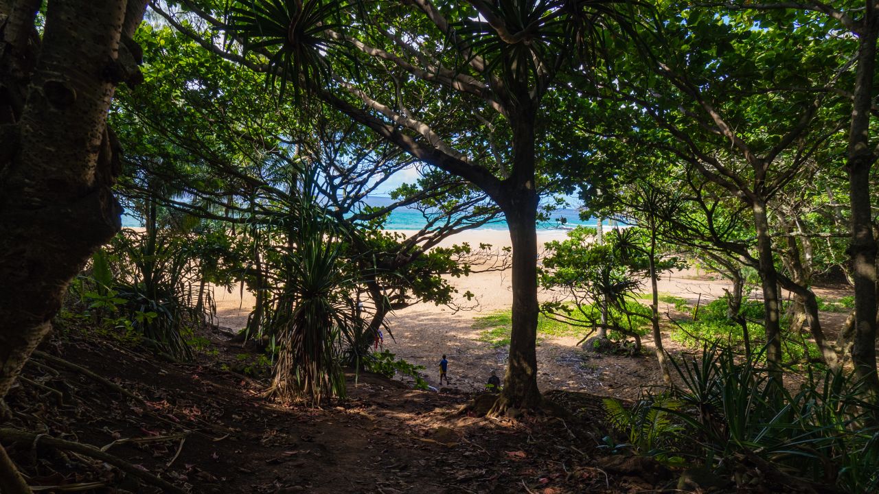 <strong>A beautiful reward: </strong> A brief but steep trail downhill leads to Secret Beach (Kauapea) in Kauai.