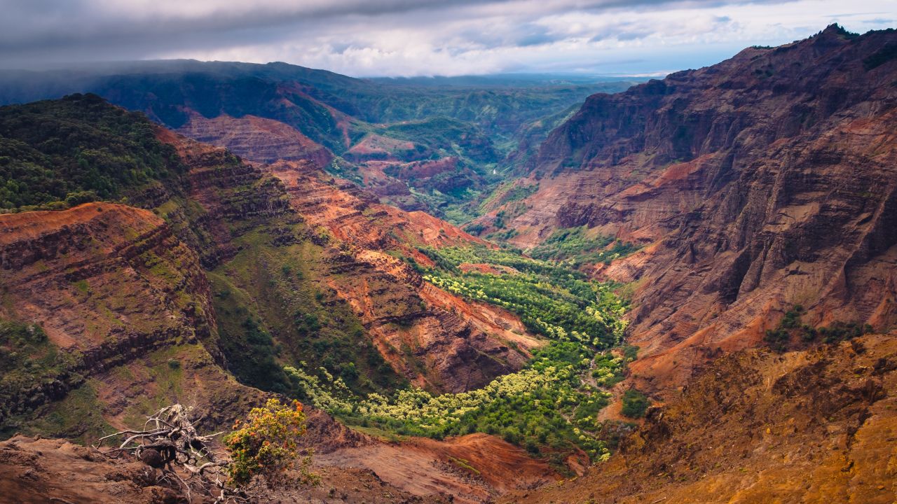 <strong>Wild landscape: </strong>Waimea Canyon on Kauai is referred to as the Grand Canyon of the Pacific.