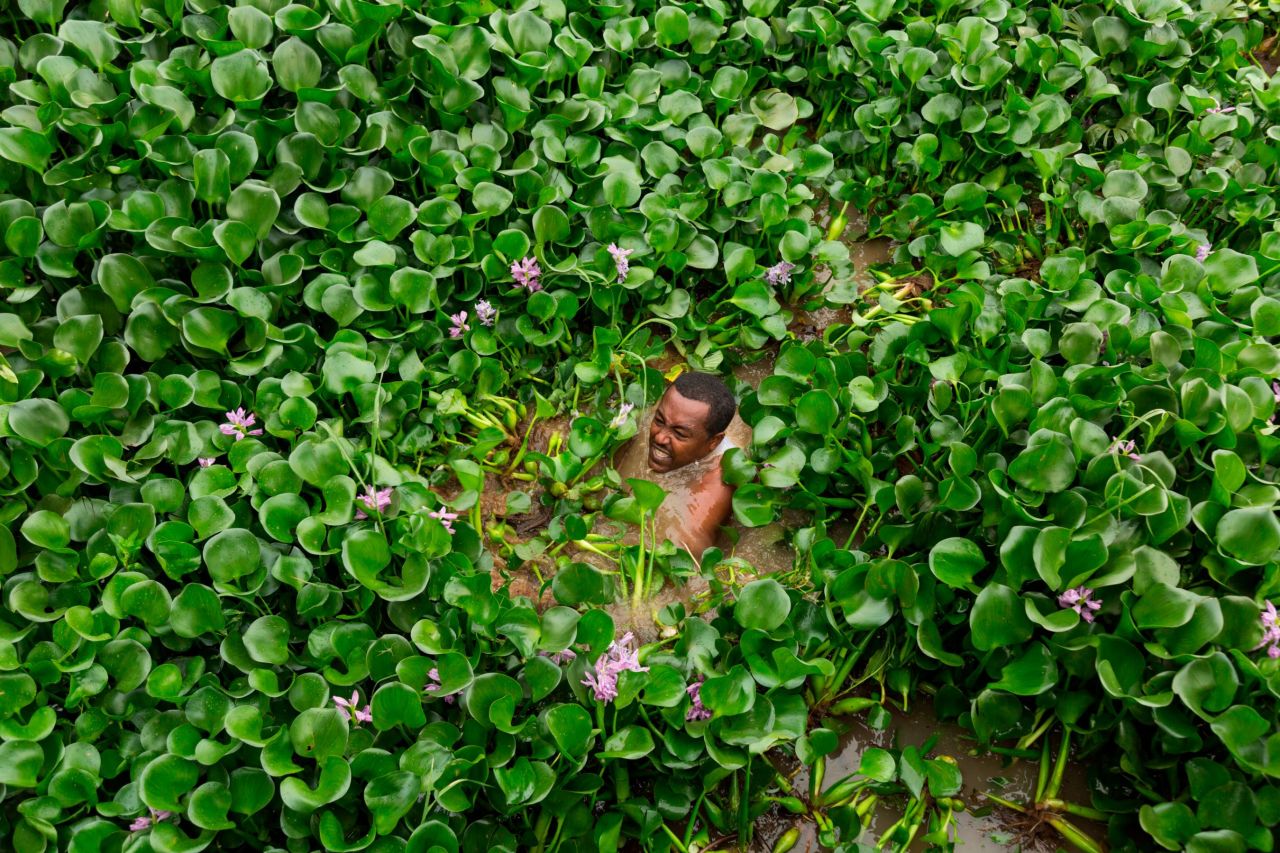 During a "Save Lake Tana" march in 2017 in Bahirdar, Ethiopia, <a href="https://www.mhaile.com/" target="_blank" target="_blank">Tadese</a> photographs a volunteer removing water hyacinth, an aquatic invasive weed that has become a serious threat to both the lake and the biodiversity within it.