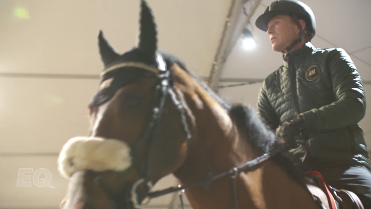 Equestrian Horse