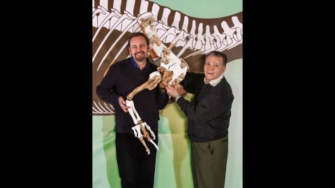 Cristiano Dal Sasso, left, and Angelo Zanella match the shoulder girdle and right forelimb of Saltriovenator with a life-size silhouette of the dinosaur.