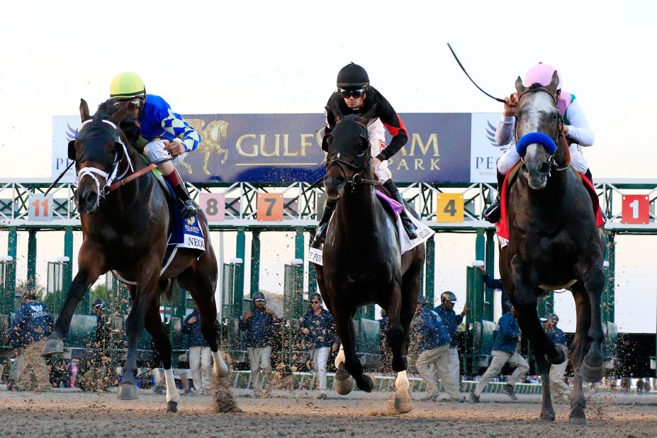 The Pegasus World Cup was the richest horse race in 2018, with an improved prize fund  of $16 million. The event was re-imagined for 2019 with a reduced pot of $9M for the dirt race and $7M for a separate turf race.