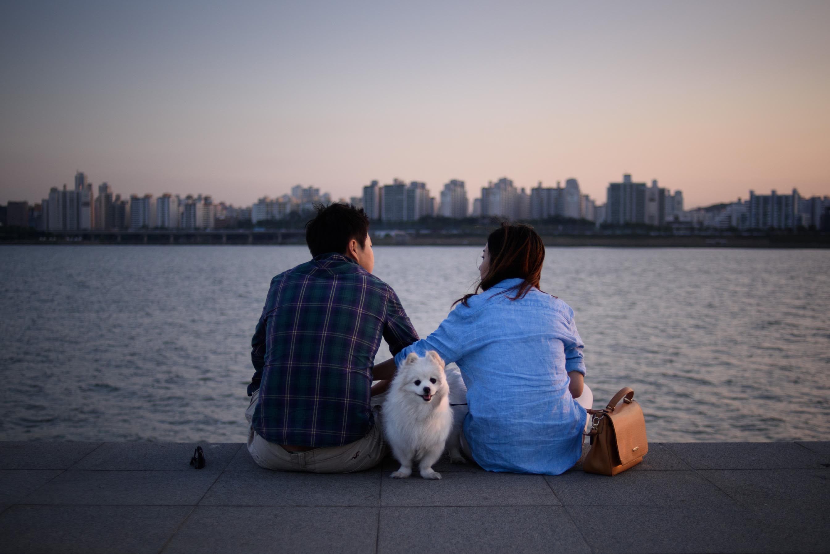 are dogs eaten in hong kong