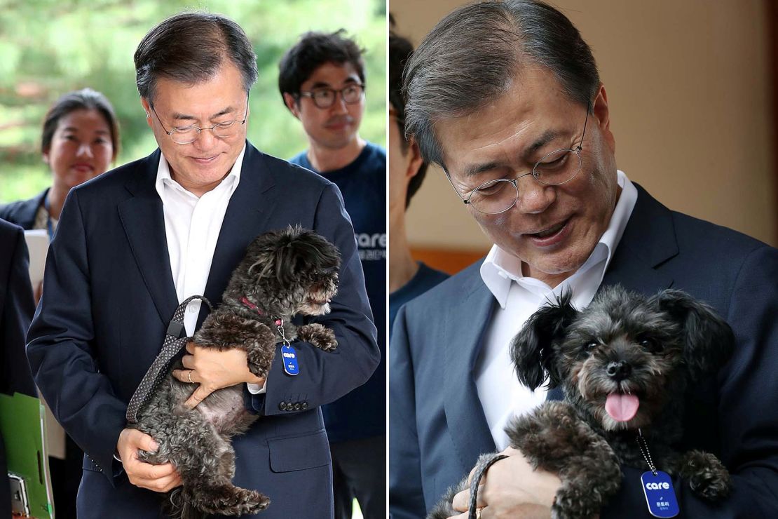 South Korean President Moon Jae-in and his shelter dog, Tori.
