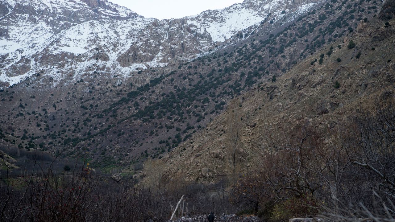 The tourists' bodies were discovered in the High Atlas mountain range. 