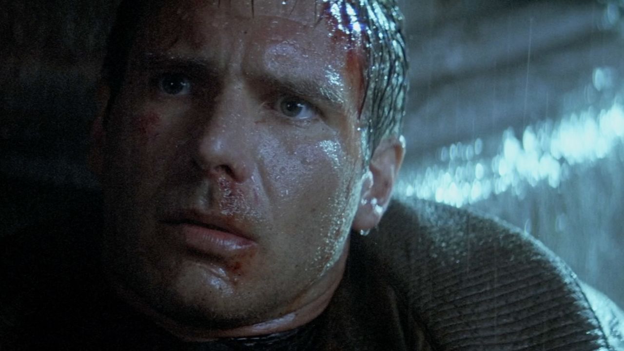 <strong>"Blade Runner" </strong>Based on Philip K. Dick's novel, "Do Androids Dream of Electric Sheep?," this sci-fi classic stars Harrison Ford as an android-hunting operative who questions what it means to be human. <strong>Where to watch: </strong>Amazon Prime Video (rent/buy); Google Play (rent/buy); iTunes (rent/buy) 