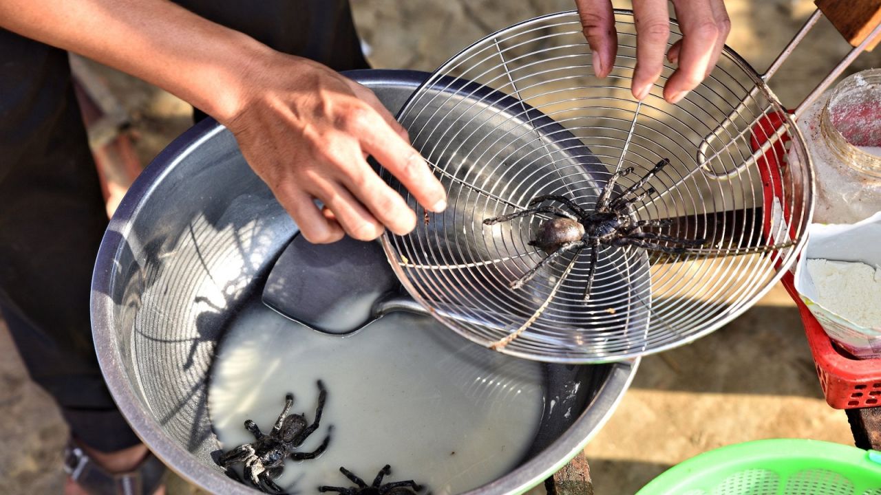 Cooked insects are sold in parts of Asia as Instagram-worthy souvenirs. 