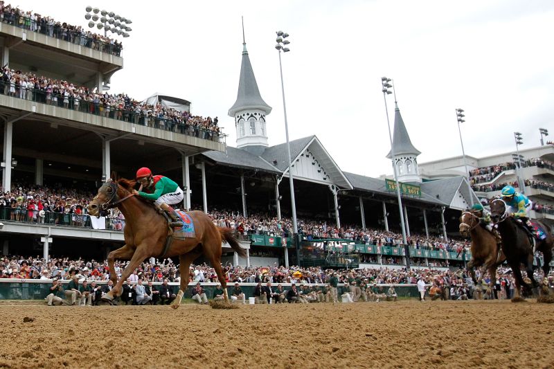 ky derby winner barbaro sketch