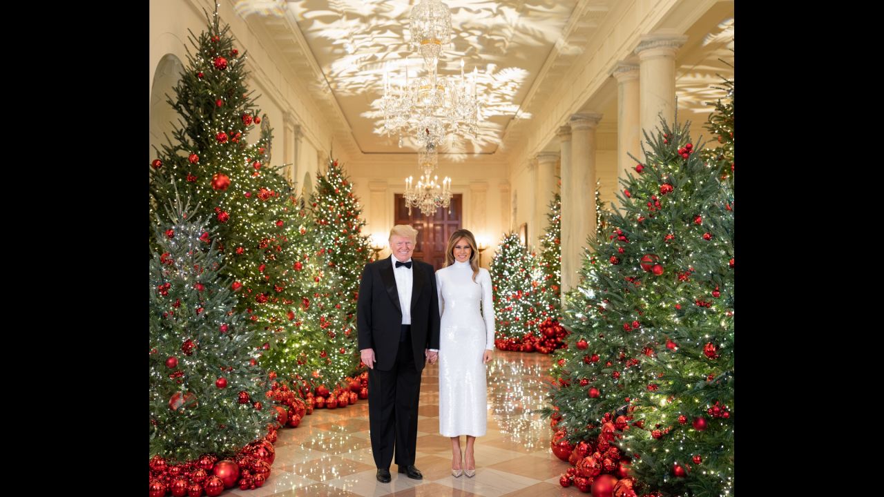 US President Donald Trump and his wife, Melania, pose for their official White House Christmas photo on Saturday, December 15.