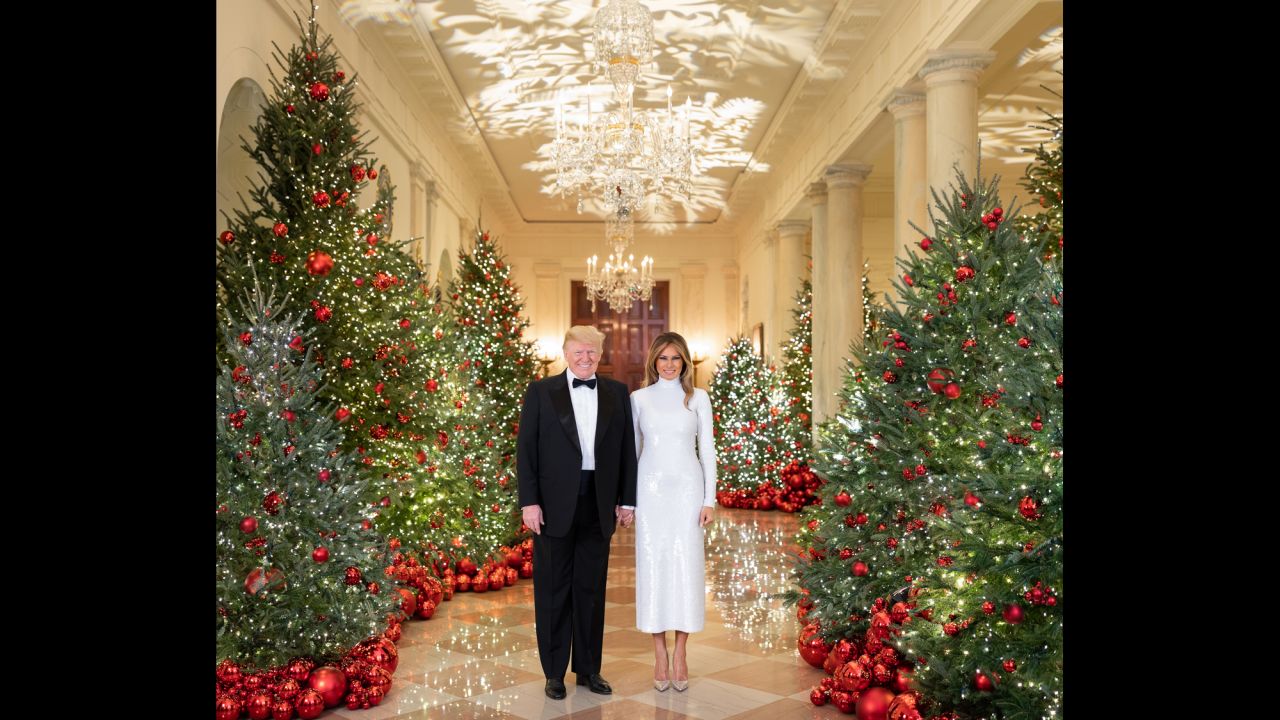 US President Donald Trump and his wife, Melania, pose for their official White House Christmas photo on Saturday, December 15.