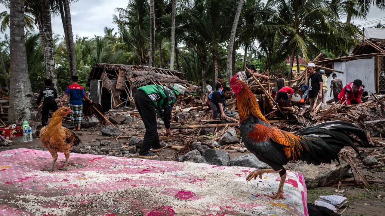 Villagers search through debris after the tsunami destroyed their houses.
