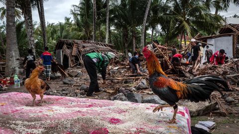 Villagers search through debris after the tsunami destroyed their houses.