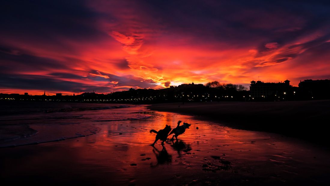<strong>San Sebastian, Spain: </strong>Dogs run free along Ondarreta Beach as a dramatic sunset takes over the December sky. 