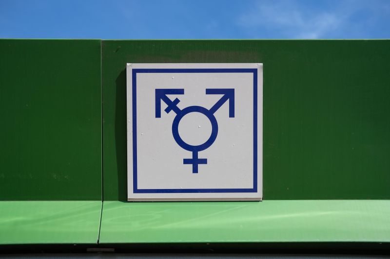 Germany's Third Gender Law Is Celebrated As A Revolution. But Some Say ...