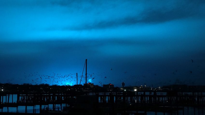 NEW YORK, USA - DECEMBER 27: Birds fly over a pier as a blue light illuminates the night sky after a transformer explosion at Queens Borough in New York, United States on December 27, 2018. (Photo by Simin Liu/Anadolu Agency/Getty Images)