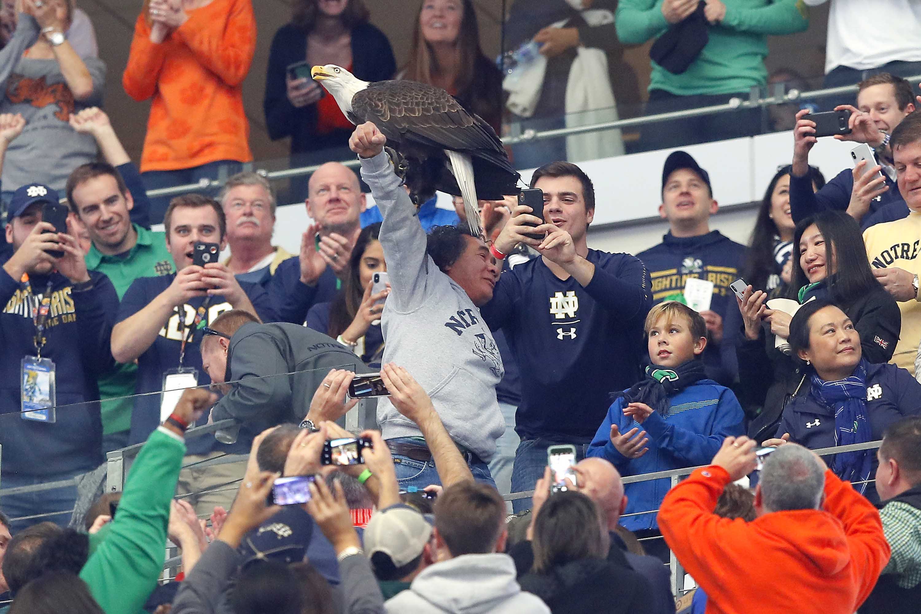 Eagles fans swooping down on merchandise